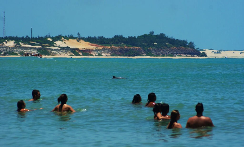Baía dos Golfinhos